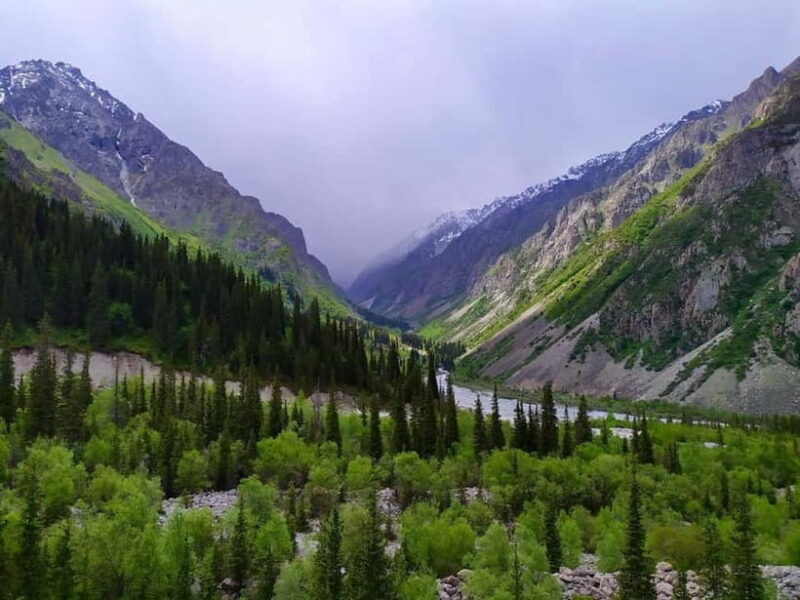 Bishkek: Ala Archa National Reserve Half-Day Tour with Hike - Why Choose This Tour?