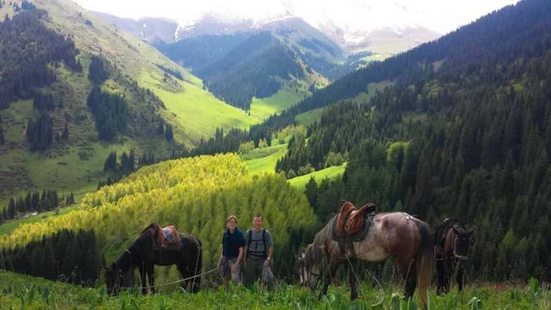 Bishkek: Chon Kemin & Issyk-Kul Lake guided day Tour - A Detailed Look at the Tour