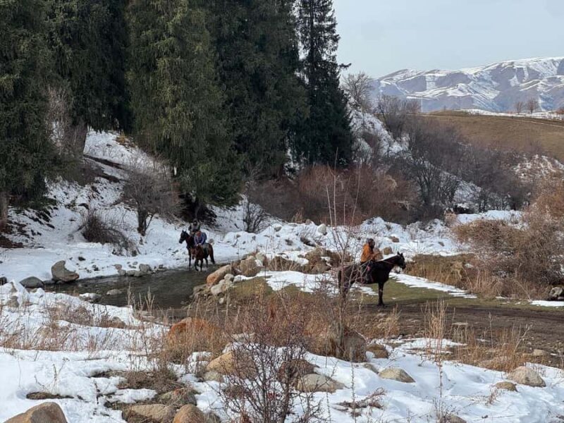 Bishkek : Chon-Kemin Valley Horseback Riding & Burana Tower - An In-Depth Look at the Tour Experience
