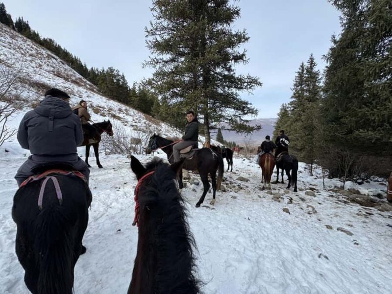 Bishkek : Chon-Kemin Valley Horseback Riding & Burana Tower - Who Will Love This Tour?
