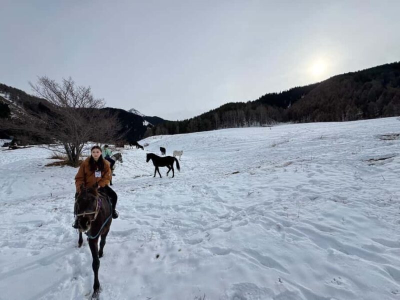 Bishkek : Chon-Kemin Valley Horseback Riding & Burana Tower - The Sum Up