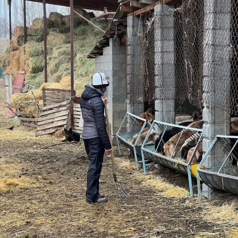 Bishkek: Horseback Ride & Shepherds Farm Cooking Experience - Exploring the Day in Depth