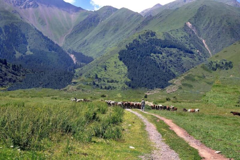 Bishkek: Shamsi Gorge Day Trip - FAQ