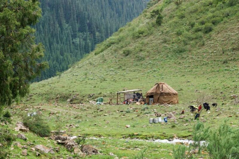 Bishkek: Shamsi Gorge Day Trip - Transportation, Timing, and Value