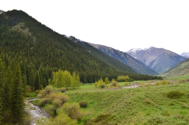 Bishkek: Shamsi Gorge Day Trip - Who Will Love This Experience?