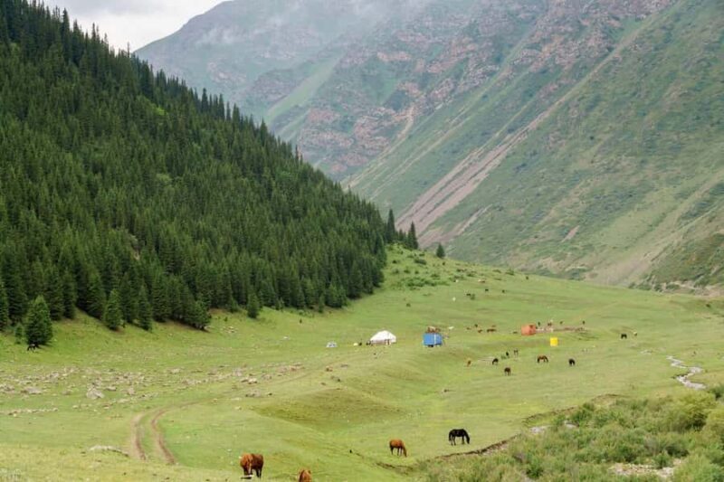 Bishkek: Shamsi Gorge Day Trip - Final Thoughts