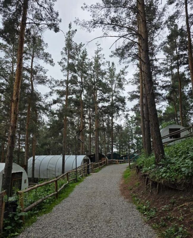 Bishkek to Chunkurchak: Sky Bridge, Horse Riding and Picnic - Good To Know