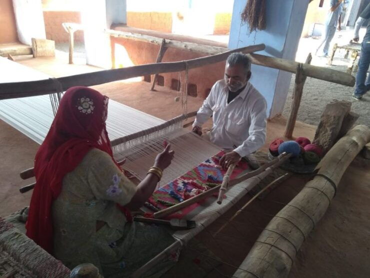 Bishnoi Village Safari Day Tours - Activity Description