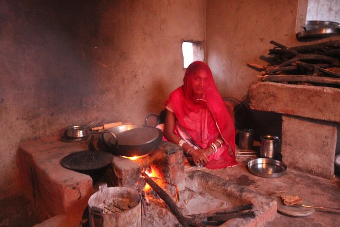 Bishnoi Village Safari Half Day Tour - Inclusions and Exclusions