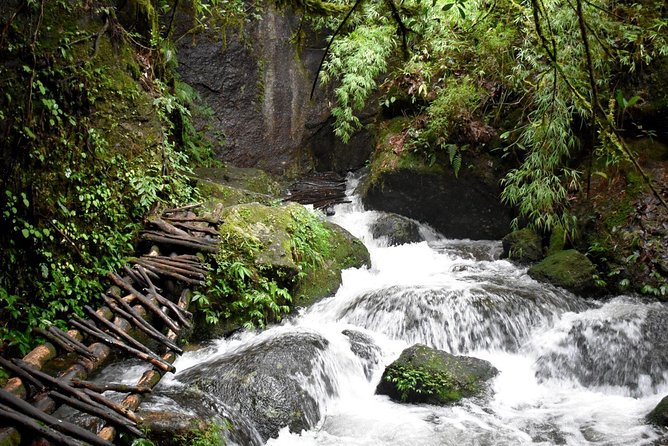 Bishnu Dwar (Shivapuri) Hike From Kathmandu - Hike Overview