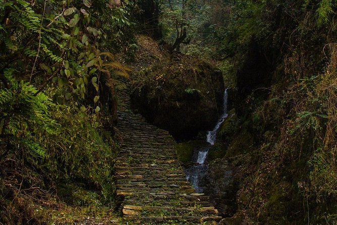 Bishnu Dwar (Shivapuri) Hike From Kathmandu - Cancellation Policy