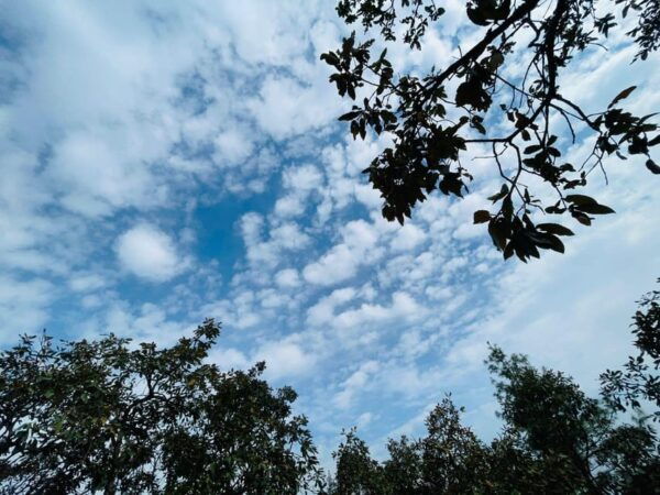 Bishnudwaar: a Perfect Day Hike in Kathmandu - Wildlife Observation Opportunities