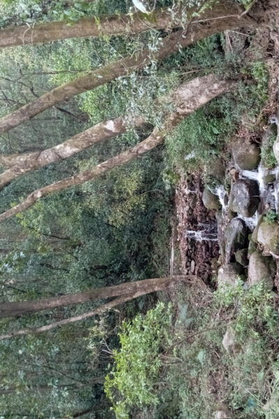 Bishnudwaar: a Perfect Day Hike in Kathmandu - Important Considerations