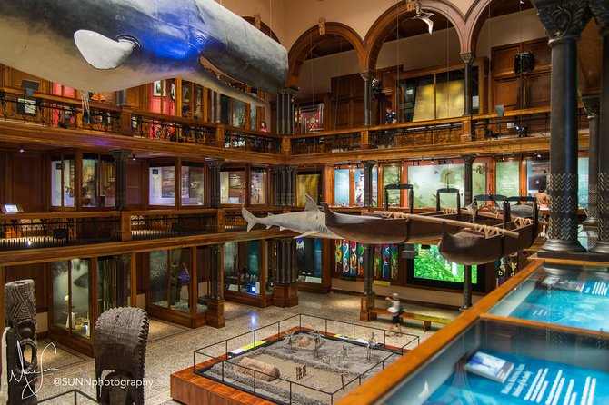 Bishop Museum General Admission Ticket - Traveler Reviews