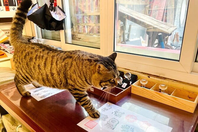 Bite and Stroll: Brunch Tour in Old Town Beijing! - The Sum Up: Who Will Love This Tour?