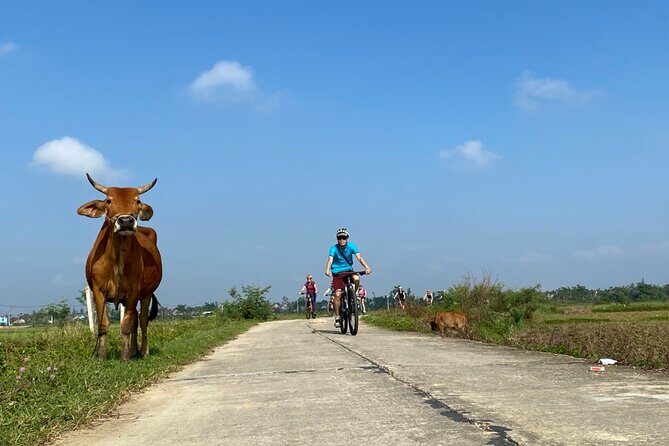 Bites by Bike a Hoi An Food Tour - An In-Depth Review of Bites by Bike Hoi An Food Tour