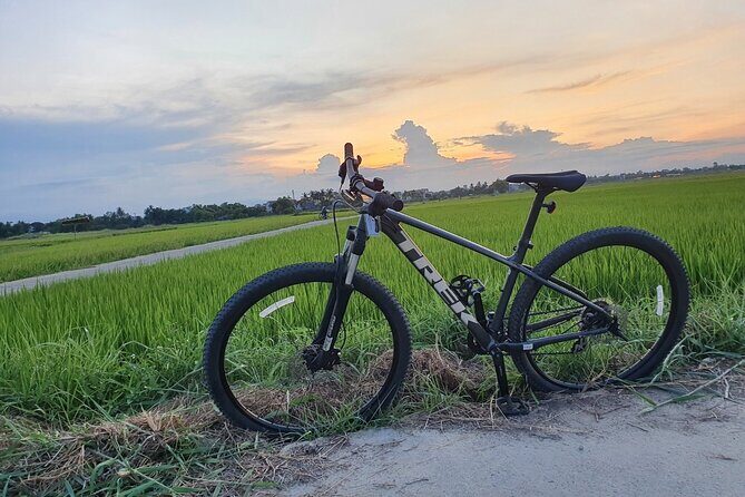 Bites by Bike a Hoi An Food Tour - Why This Tour Offers Great Value