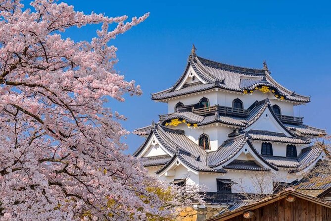 BIWAKO VALLEY Custom Tour With Private Car and Driver (Max 9 Pax) - Inclusions