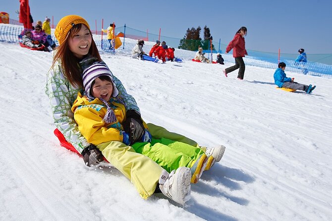BIWAKO VALLEY Custom Tour With Private Car and Driver (Max 9 Pax) - The Sum Up