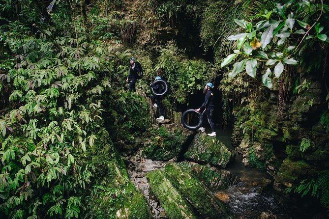 Black Abyss: Ultimate Waitomo Caving - Private Tour From Auckland - Common Questions