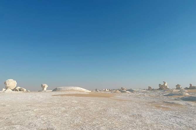 Black and White Desert 2 Days Tour in Bawiti Egypt - Additional Tour Directions