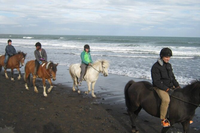 Black Beach Horseback Riding Tour - End Point and Logistics