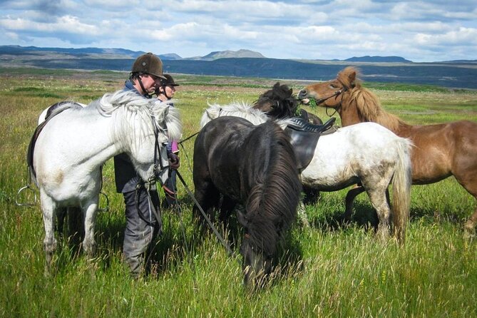 Black Beach Horseback Riding Tour - Cancellation Policy
