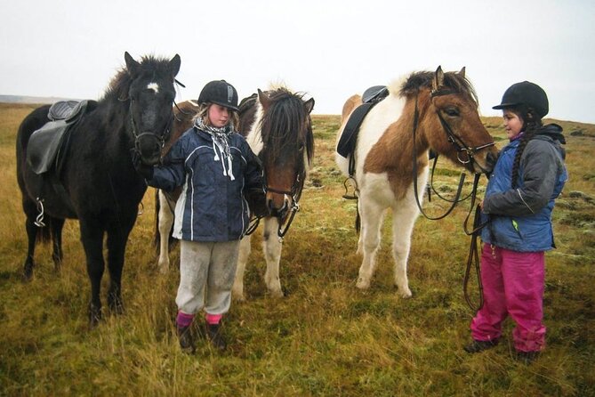Black Beach Horseback Riding Tour - Directions