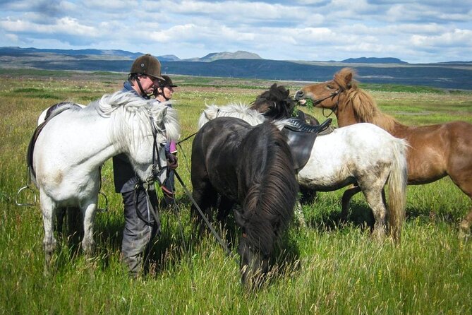 Black Beach Horseback Riding Tour - Common Questions