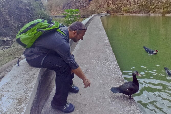 Black Caves, Jungles, Waterfalls - Visit the Secret Tenerife ! - Discovering Hidden Gems in Tenerife