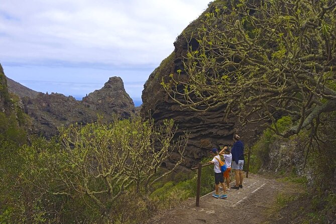 Black Caves, Jungles, Waterfalls - Visit the Secret Tenerife ! - Unveiling the Natural Wonders of Tenerife