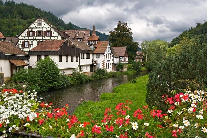 Black Forest and Rhine Falls Day Trip From Zurich - Disappointing Experience