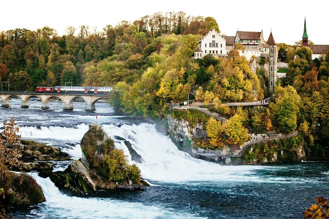 Black Forest and Rhine Falls Day Trip From Zurich - Time Constraints
