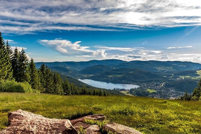 Black Forest and Rhine Falls Day Trip From Zurich - The Sum Up