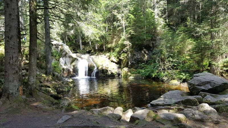 Black Forest: Ravenna Gorge Hike, Self-Guided - FAQ