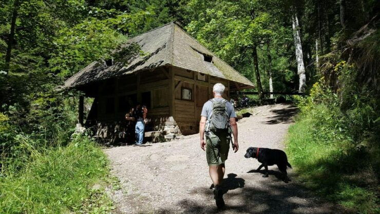 Black Forest: Ravenna Gorge Hike, Self-Guided - Hiking Experience and Itinerary