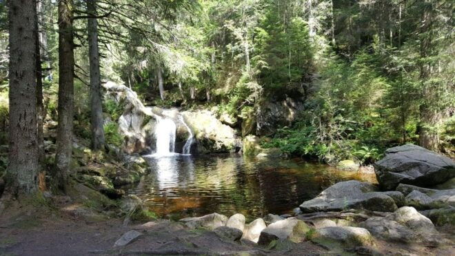 Black Forest: Ravenna Gorge Hike, Self-Guided - Getting to the Trailhead