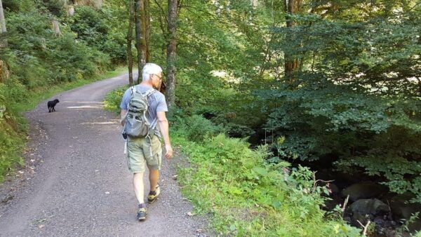 Black Forest: Ravenna Gorge Hike, Self-Guided - Tour Cancellation and Payment
