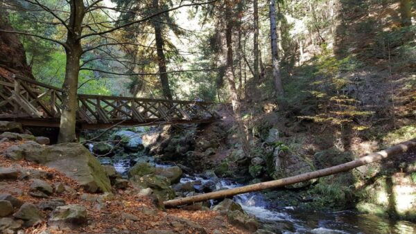 Black Forest: Ravenna Gorge Hike, Self-Guided - The Sum Up