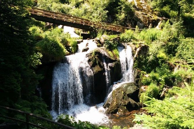 Black Forest Tour by Car - Start Offenburg or Freiburg - Tour Inclusions