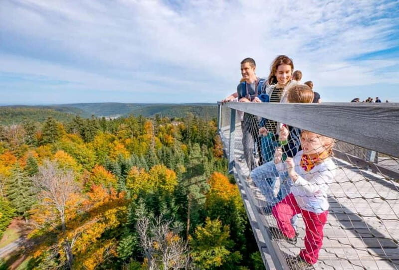 Black Forest: Treetop Walk & Lookout Tower Experience - The Lookout Tower – A 40-meter-high Marvel
