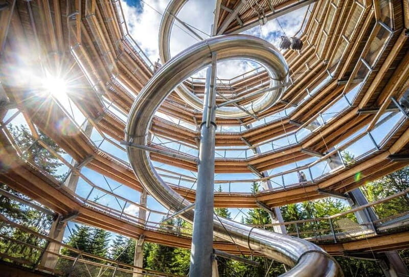 Black Forest: Treetop Walk & Lookout Tower Experience - The Thrill of the Tunnel Slide