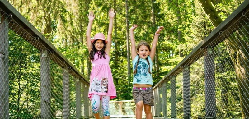 Black Forest: Treetop Walk & Lookout Tower Experience - Practical Details & Value