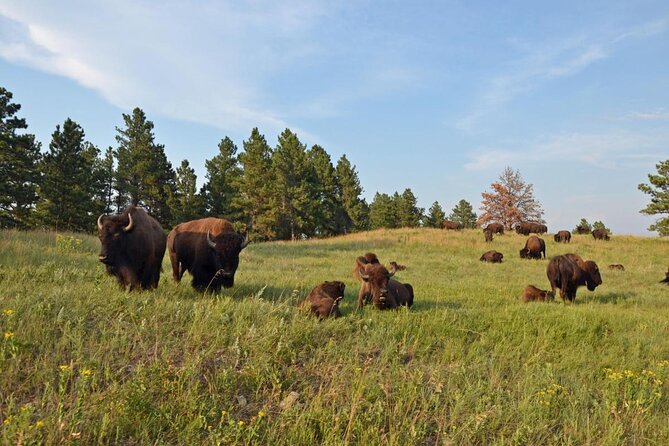 Black Hills, Badlands and Bravehearts 3 Day Journey - Day 1: Exploring Black Hills