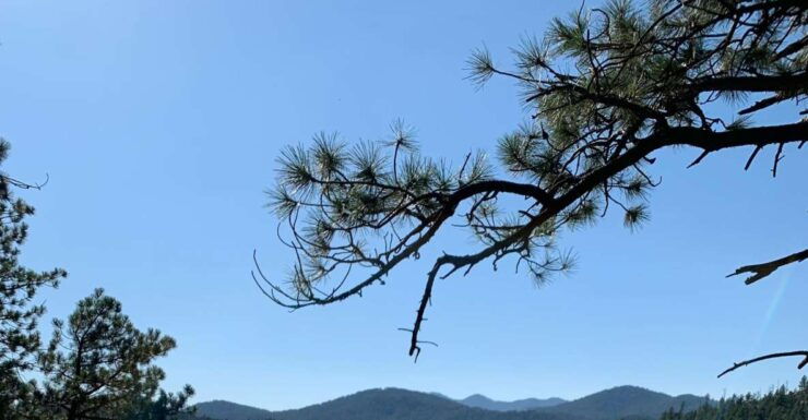 Black Hills: Private Tour of Mt. Rushmore & Flume Trail Hike - Activity Details
