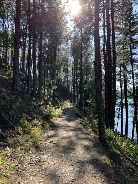 Black Hills: Private Tour of Mt. Rushmore & Flume Trail Hike - Tour Highlights