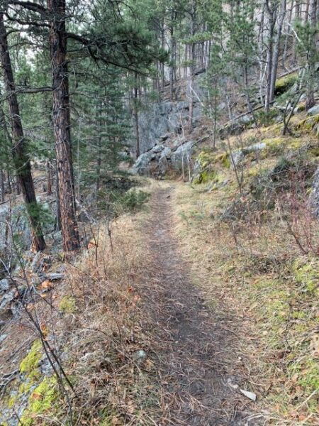 Black Hills: Private Tour of Mt. Rushmore & Flume Trail Hike - Common Questions