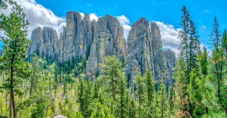 Black Hills to Mount Rushmore: Scenic Driving Tour - Good To Know