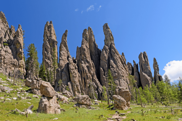 Black Hills to Mount Rushmore: Scenic Driving Tour - Frequently Asked Questions