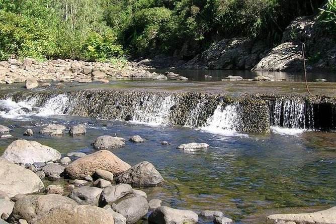 Black River Gorges Forest Hiking, Mauritius - Half Day - Meeting Point